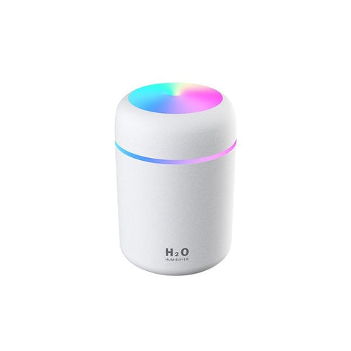 H20 Humidifier